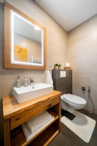 什平德莱鲁夫姆林Špindl Lodge Apartments Self check-in & Sauna的带水槽和马桶的浴室