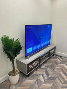 a tv sitting on a stand with a potted plant at أستديو بدخول ذاتي حي الوزارات 222 in Riyadh