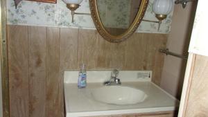 - un lavabo avec une bouteille de dentifrice dans l'établissement NiceShortStayMassena, à Massena