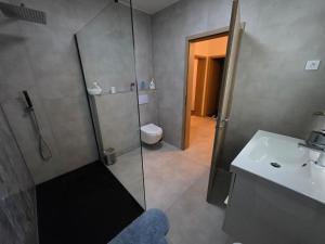 a bathroom with a shower and a toilet and a sink at Bello in Wallerfangen