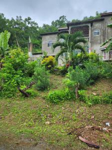 Κήπος έξω από το Val's House with private parking