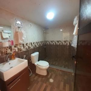 Un baño con inodoro, lavabo y ducha. en Wadi rum sweets time, en Wadi Musa