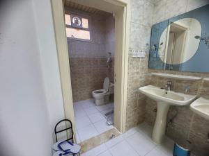 a bathroom with a sink and a toilet at ANA Apartment2 in Hail
