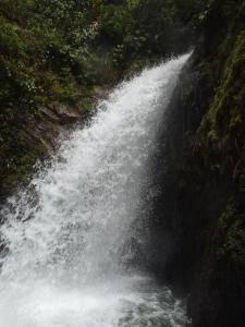 Fotografie z fotogalerie ubytování Freestyle House Hostel v destinaci Lligua