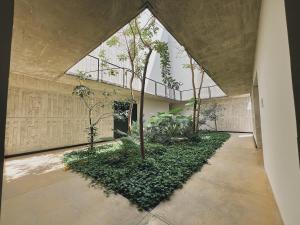 une cour avec des arbres et des plantes dans un bâtiment dans l'établissement Refugio de Lujo en Tulum, à Tulum