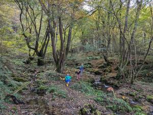 deux enfants courant sur un sentier dans les bois dans l'établissement Vila Presjenica, à Bunovci 3 autres photos