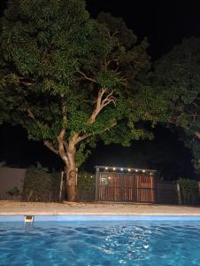 a tree next to a pool at night at Mango Beach in San Bernardo del Viento
