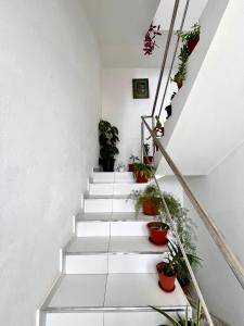 a white staircase with potted plants on it at Oásis de retour in Ponta do Sol
