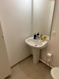 ein weißes Badezimmer mit Waschbecken und Spiegel in der Unterkunft Chic 2 chambres appartement proche de Paris in Vitry-sur-Seine + 16 Fotos