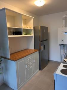 eine Küche mit Kühlschrank und Arbeitsplatte in der Unterkunft Chic 2 chambres appartement proche de Paris in Vitry-sur-Seine