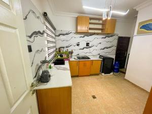 a kitchen with a wall with bats painted on it at Soothing Haven in Ibadan +22 photos