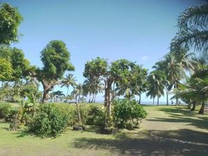 a park with palm trees and the ocean in the background at Sidonie parker in Teahupoo +12 photos