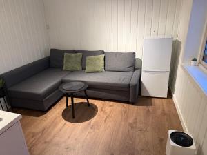 Posezení v ubytování Hel leilighet i Bekkelag, 5 minutter til sentrum