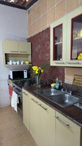a kitchen with a sink and a stove at The Nest Rainforest Retreat in Panama City