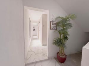 a hallway with a plant in a red pot at Downtown Suites - Hotel Boutique by Maraf in Cancún +2 photos