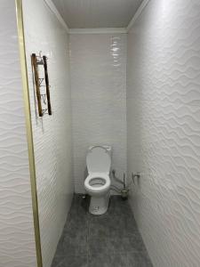 タシュケントにあるOld City Butik Hotelの小さなバスルーム(トイレ付)