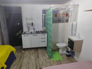 ein Badezimmer mit einem grünen Duschvorhang und einem WC in der Unterkunft Favela Suite Quartos Camas Quitinetes para Rapazes Alto Vidigal in Rio de Janeiro
