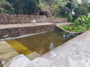 a dog sitting on a stone wall next to a pond at Balneário cascata chalés in Tianguá