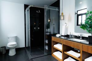un bagno con doccia, WC e lavandino di Porta Kepler a Città del Messico Altre 31 foto