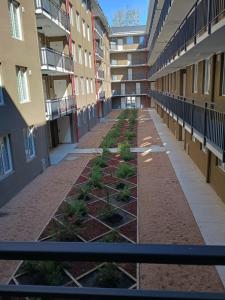 an empty hallway of an apartment building with plants at Departamento Chillán in Chillán