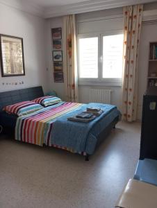 a bedroom with a bed with a colorful blanket and two windows at Guest Room Near Airport in Ariana