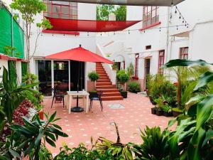 Vườn quanh Casa Luna