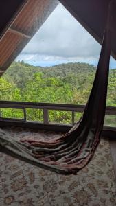 a hammock in a room with a view at Toucan Place in Panama City +17 photos