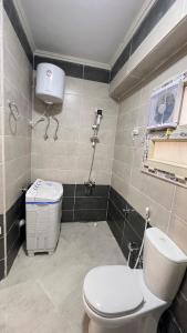a bathroom with a white toilet and a shower at Negmet Siwa Hotel in Siwa +27 photos