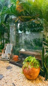 een plant in een pot die voor een aquarium staat bij Pousada Villa Cacau in Trancoso