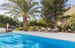 - une piscine bordée de chaises et de palmiers dans l'établissement Nice Apartment In Makarska, à Makarska 20 autres photos