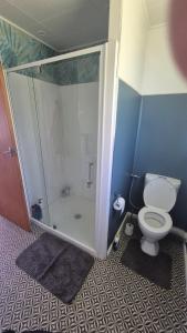 a bathroom with a shower and a toilet in it at Turanga Heights in Gisborne +31 photos