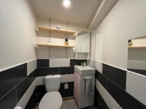 a small bathroom with a toilet and a sink at Duplex T3 à La Bourboule - Proche thermes, 6 pers - FR-1-608-296 in La Bourboule