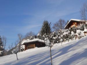 een persoon die bovenop een met sneeuw bedekte hut staat bij Chalet neuf pour 6 pers, animaux et parking - FR-1-836-36 in Arâches-la-Frasse