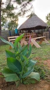 Zahrada ubytování Kyenwa homestay