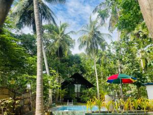 a colorful umbrella next to a swimming pool with palm trees at Nature World Udawalawe in Udawalawe