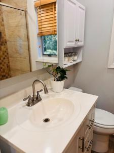 a bathroom with a sink and a toilet at Stylish Stay in the Heart of Decatur King Bed in Decatur