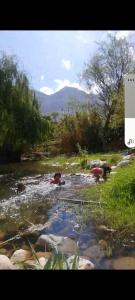 Billede fra billedgalleriet på La cabaña del rio Rivadavia i Paihuano + 19 billeder