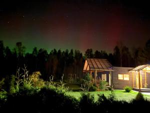 una casa sotto l'aurora boreale di notte di The Flower Nest a Zvejniekciems