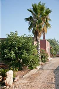 a palm tree on the side of a road at Villa Rosalba in Polignano a Mare