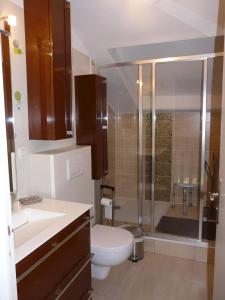 ein Bad mit einem WC und einer Dusche in der Unterkunft Tourellic in Binic