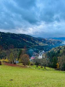 Gallery image of Cabana La Coco Horea in Horea