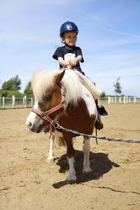 a young child is riding on a pony at Reitcamp Börgerende GmbH & Co. KG in Börgerende-Rethwisch