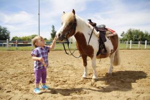 ein kleines Kind steht neben einem braunen und weißen Pferd in der Unterkunft Reitcamp Börgerende GmbH & Co. KG in Börgerende-Rethwisch