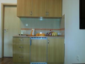Kuchyňa alebo kuchynka v ubytovaní Studio Apartman Kamelija