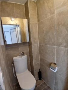 a bathroom with a toilet and a mirror at Magnifique T2 Neuf 5MN de la mer clim wifi parking in Six-Fours-les-Plages +11 photos