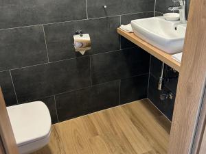 a bathroom with a toilet and a sink at Apartment at the ski lift in Jochberg in Jochberg