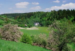 a house in the middle of a green field at Petrovický mlýn in Kasanice