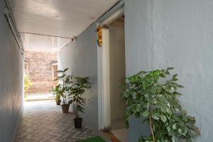 a hallway with potted plants next to a wall at Hotel Stay Land Inn Versova in Mumbai