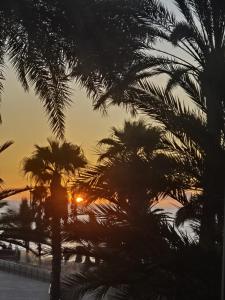 ein Sonnenuntergang durch die Palmen am Strand in der Unterkunft La paz del Mar en Arguineguin in Arguineguín