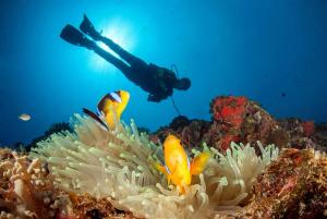 a person in the ocean looking at an anemometer at The Pointe Taveuni in Matei